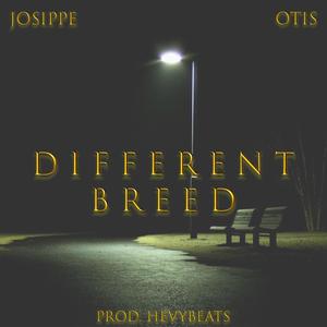 Different Breed (feat. Josippe)