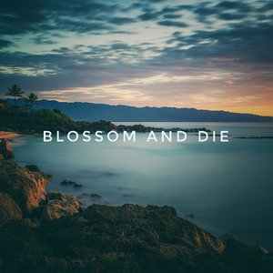 Blossom And Die