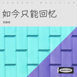 如今只能回忆