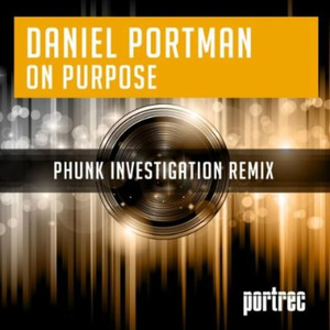 On Purpose - remix (Phunk Investigation Remix)