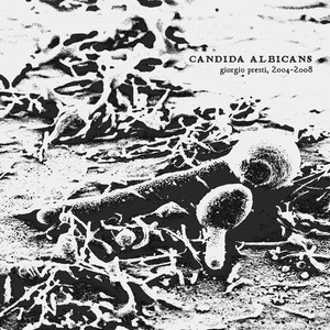 Candida Albicans