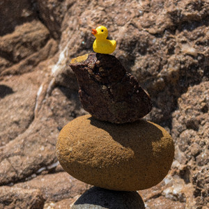 rubber ducky