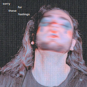 Sorry For These Feelings