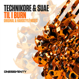Til I Burn (Radio Edit)