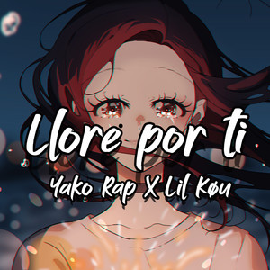 Llore Por Ti