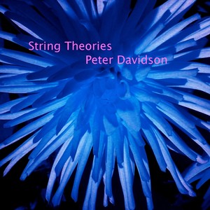 String Theories