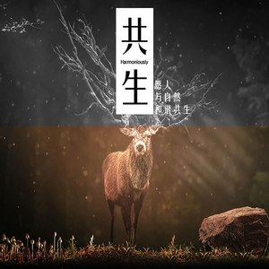 共生
