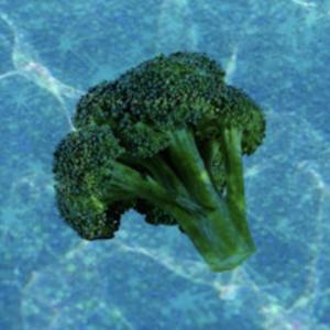 Water With Ice (Broccolli)