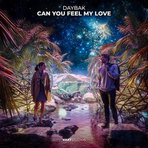 Can You Feel My Love