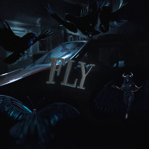 FLY