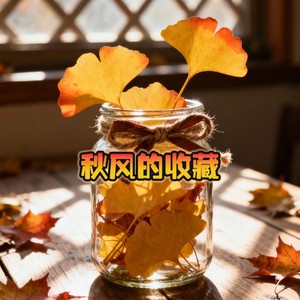 霓虹回声组合 - 秋风的收藏