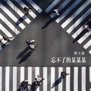 忘不了的某某某 (女版)
