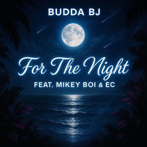 For The Night (feat. Mikey Boi & EC) (Explicit)