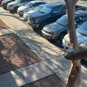 Lets go skating (Explicit)