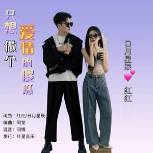 只想做个爱情的傻瓜
