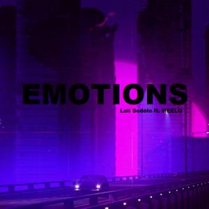Emotions(feat. MEELO) (Explicit)