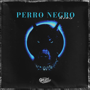 Perro Negro (No Pense Que Eras Asi) [Remix]