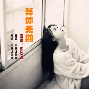 等你无期 (DJ版)