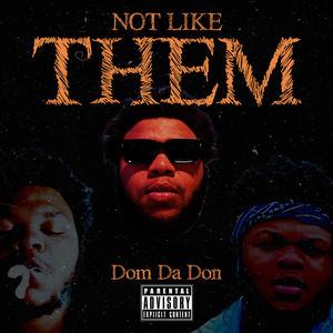 Not Like Them (Explicit)