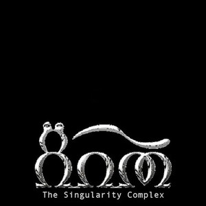 The Singularity Complex