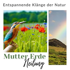 Mutter Erde Heilung: Entspannende Klänge der Natur zur spirituelle erwachen und ausbildung