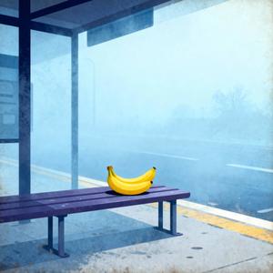 Things I couldn't tell you