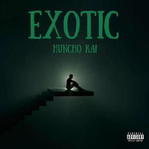 Exotic (Explicit)