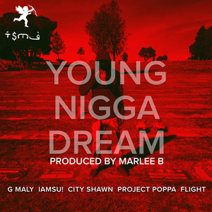 Young Nigga Dream (Remix) [feat. Iamsu!, City Shawn, Project Poppa & Flight] [Explicit]