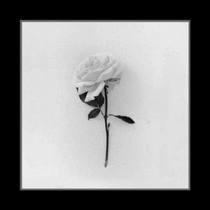 White Lies (feat. Sh!nki) (Explicit)