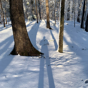 Headlights Revisited