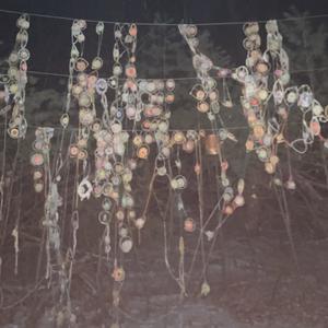 DREAMCATCHER (Explicit)