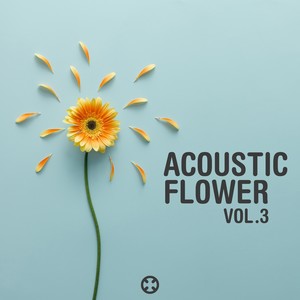 Acoustic Flower Vol.3