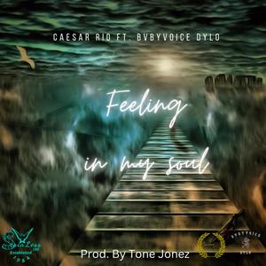 Feeling in my soul (feat. Bvbyvoice Dylo)