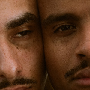 Wilde Haren (Explicit)