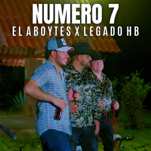 Numero 7