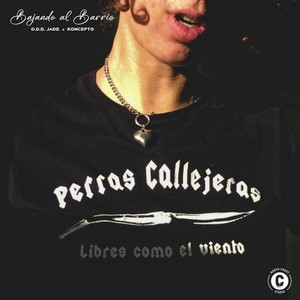 Bajando al Barrio (Explicit)