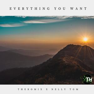 Everything You Want (feat. NELLY TGM)