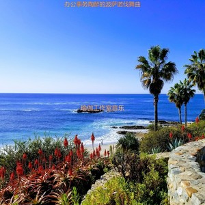 办公事务陶醉的波萨诺伐舞曲