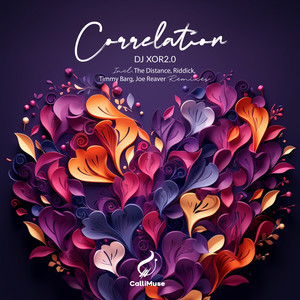 Correlation (Timmy Barg, CalliMuse Remix)