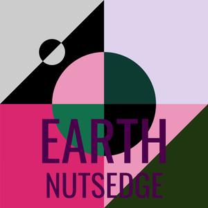 Earth Nutsedge