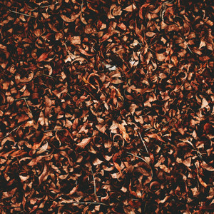 The End Is Not Alone