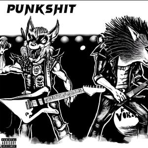 Punk **** (Explicit)