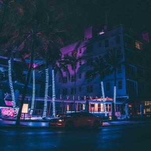 305 Nights
