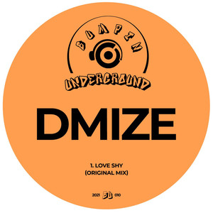 Love Shy (Original Mix)
