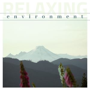 Relaxing Environment: Soothing Atmosphere, Nature Sounds, Meditation & Yoga Music