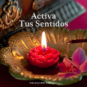 Activa Tus Sentidos: Colección Sensual