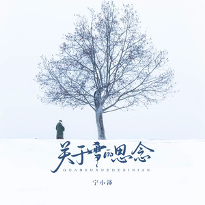 关于雪的思念(看雪花一片一片飘散)