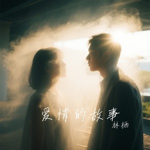 爱情的故事 (深情女版)封面