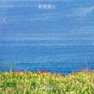 寂寞烟火 (感谢你曾让我留在你眼中)