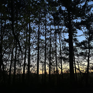 Pond by 420 (Explicit)